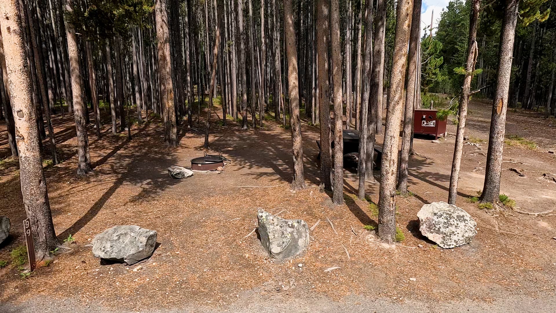 Site 99