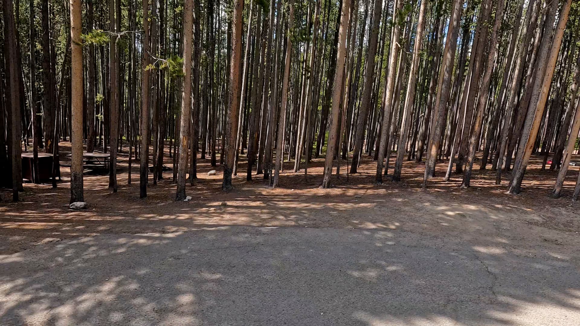 Site 120