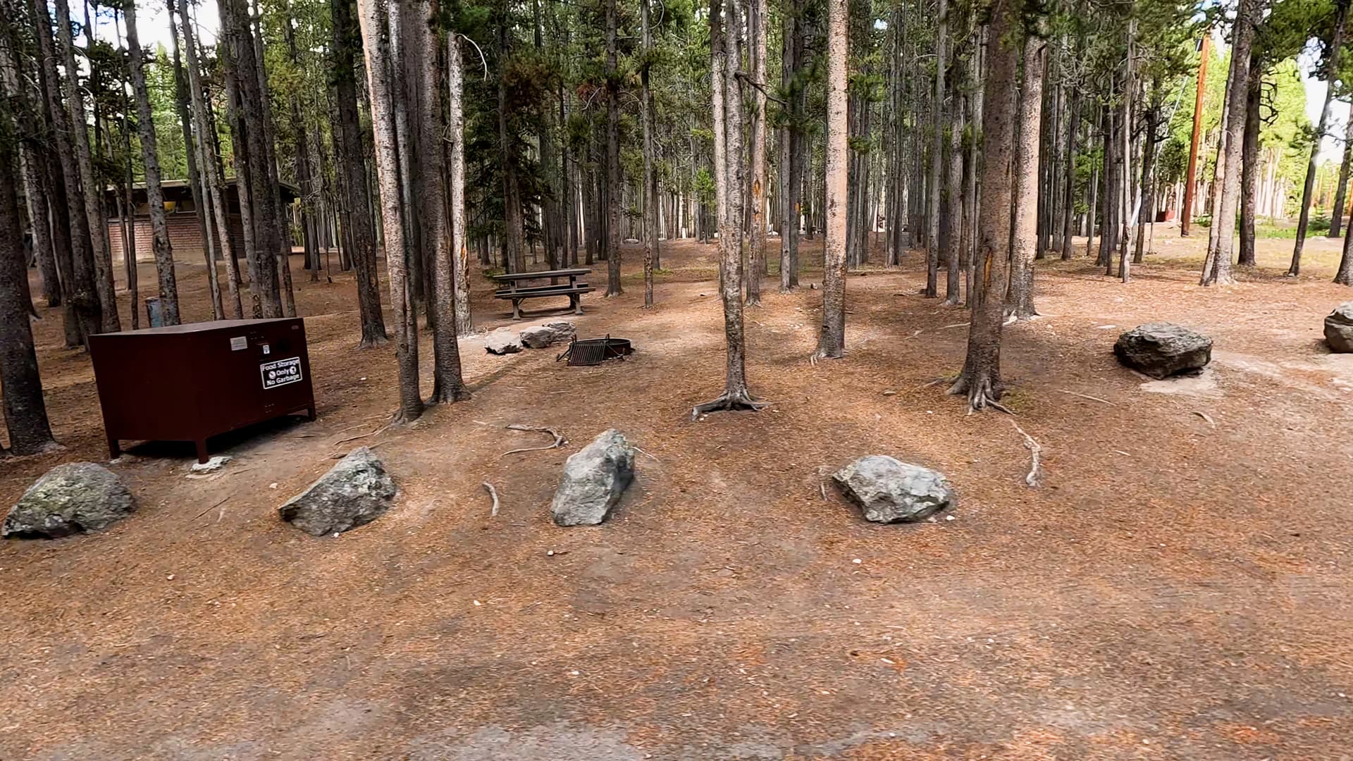 Site 75
