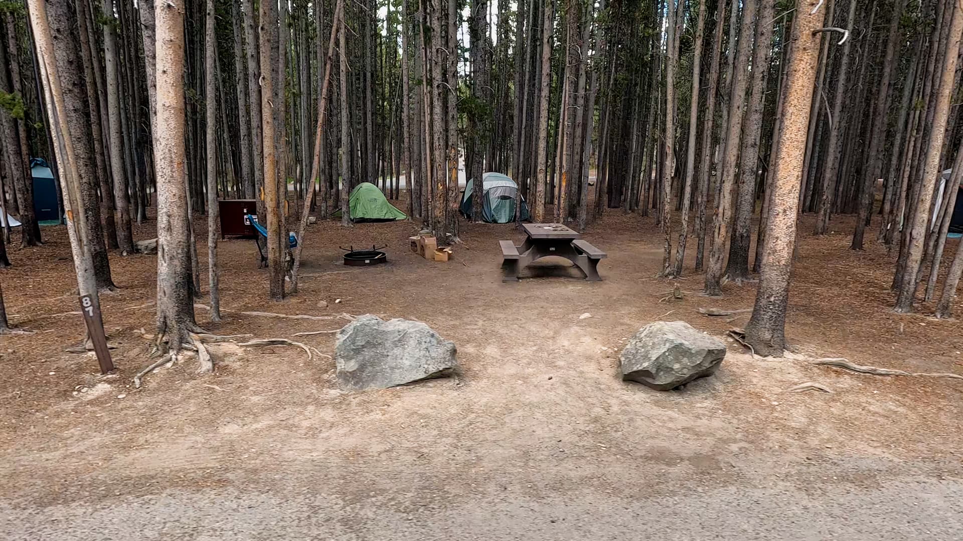 Site 87