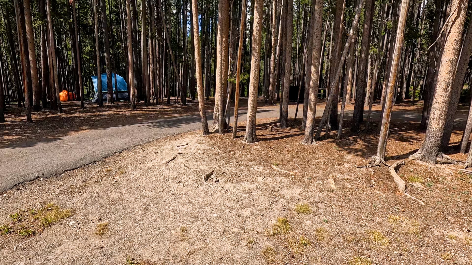 Site 113