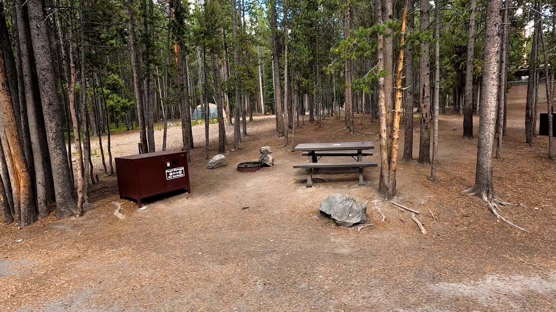 Site 91
