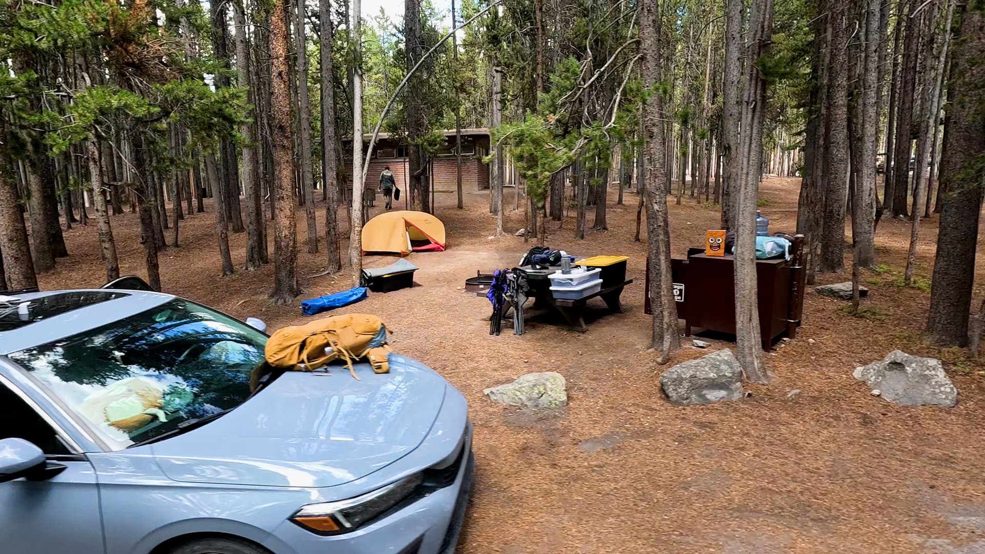 Site 74