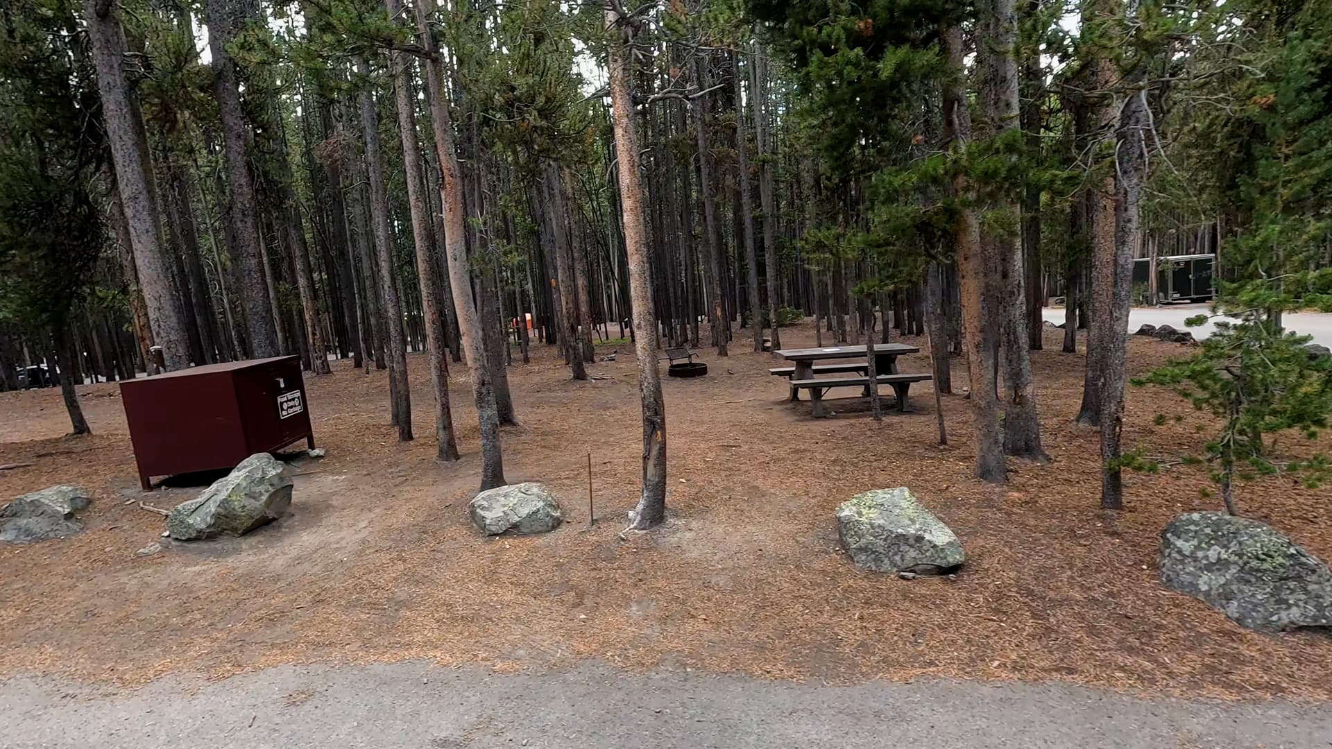 Site 89