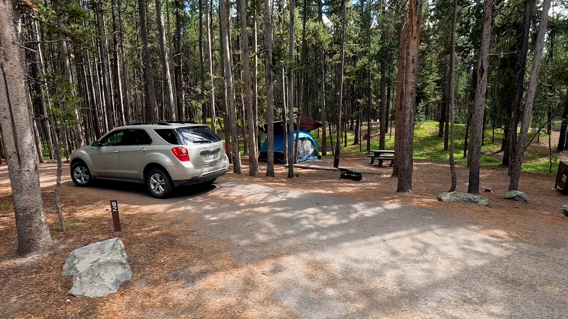 Site 81
