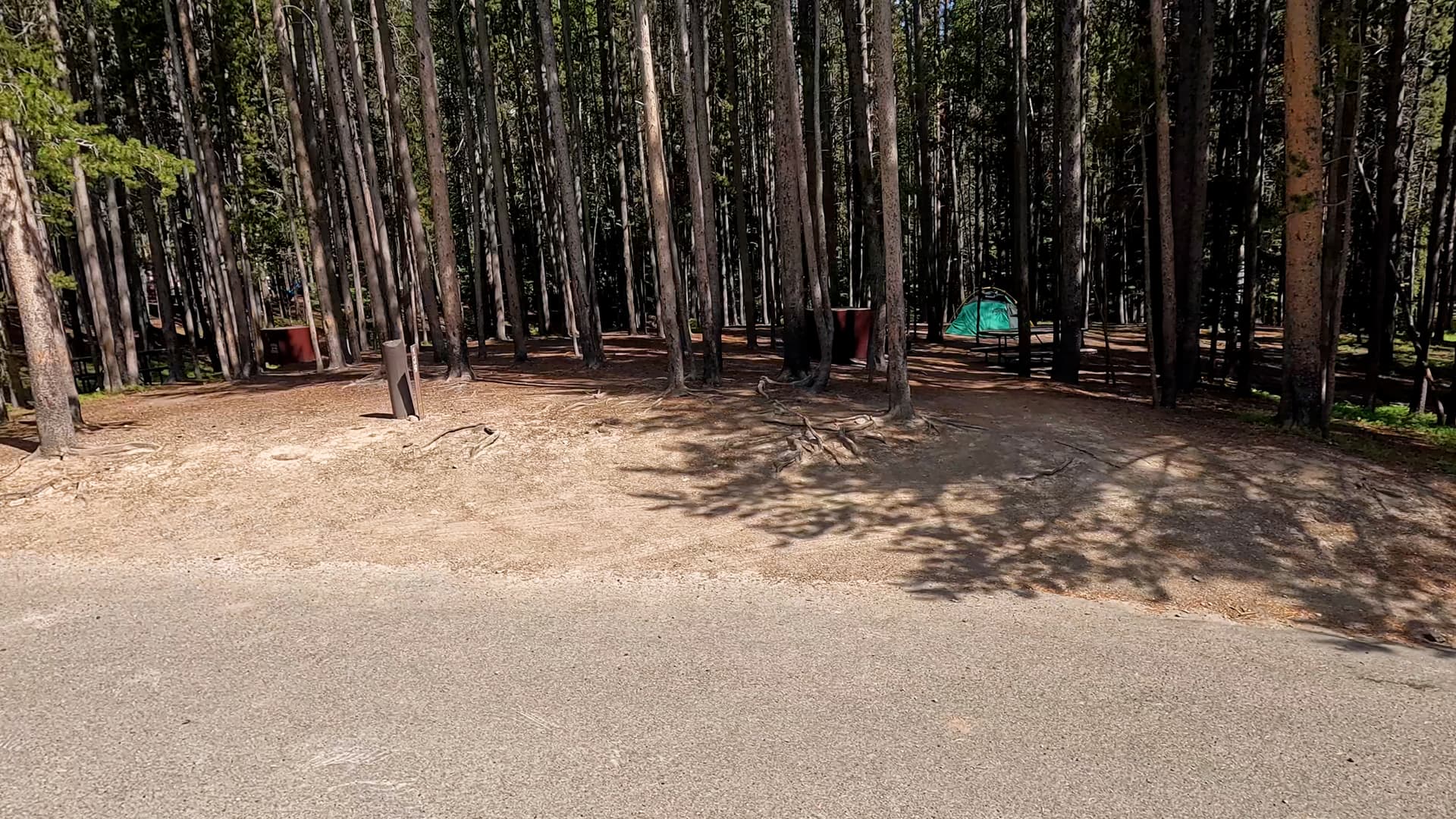 Site 139