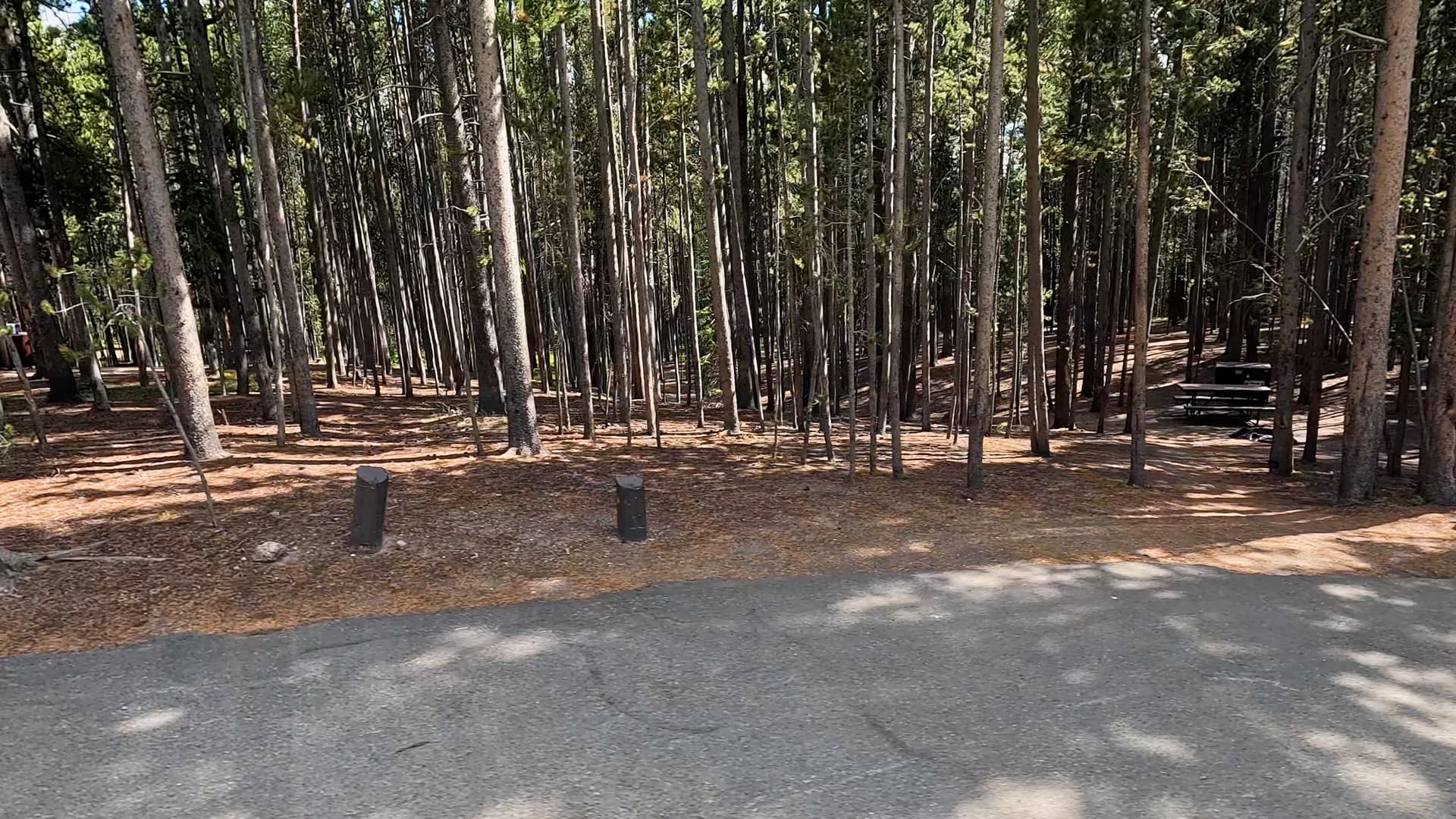 Site 131