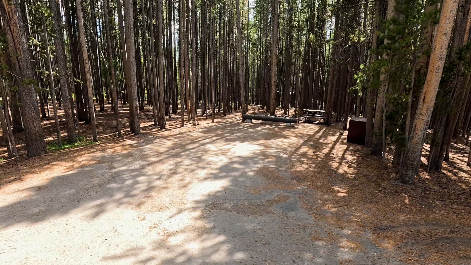 Site 125