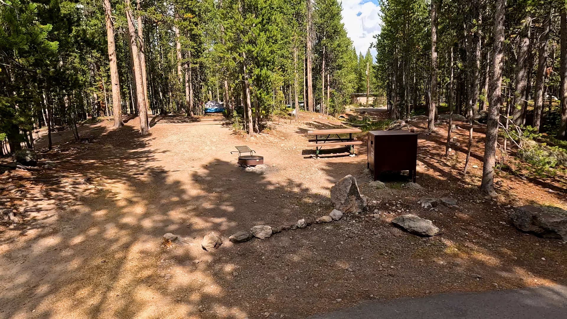 Site 195