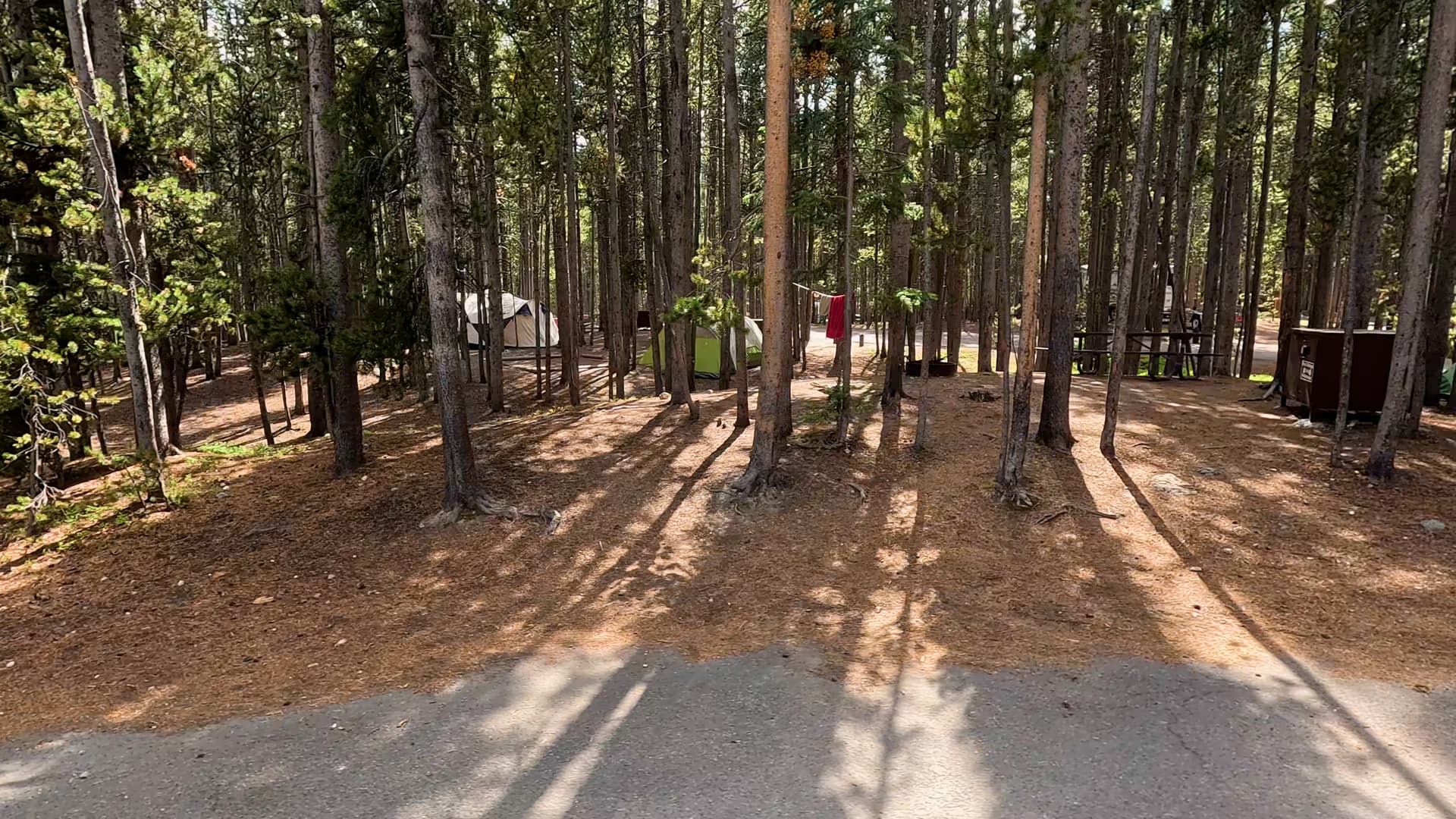Site 184