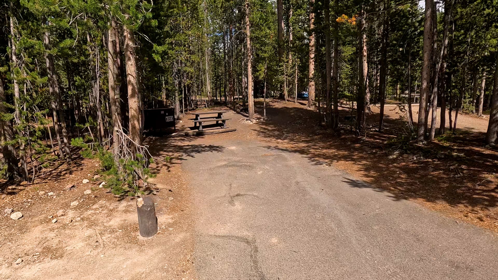 Site 194