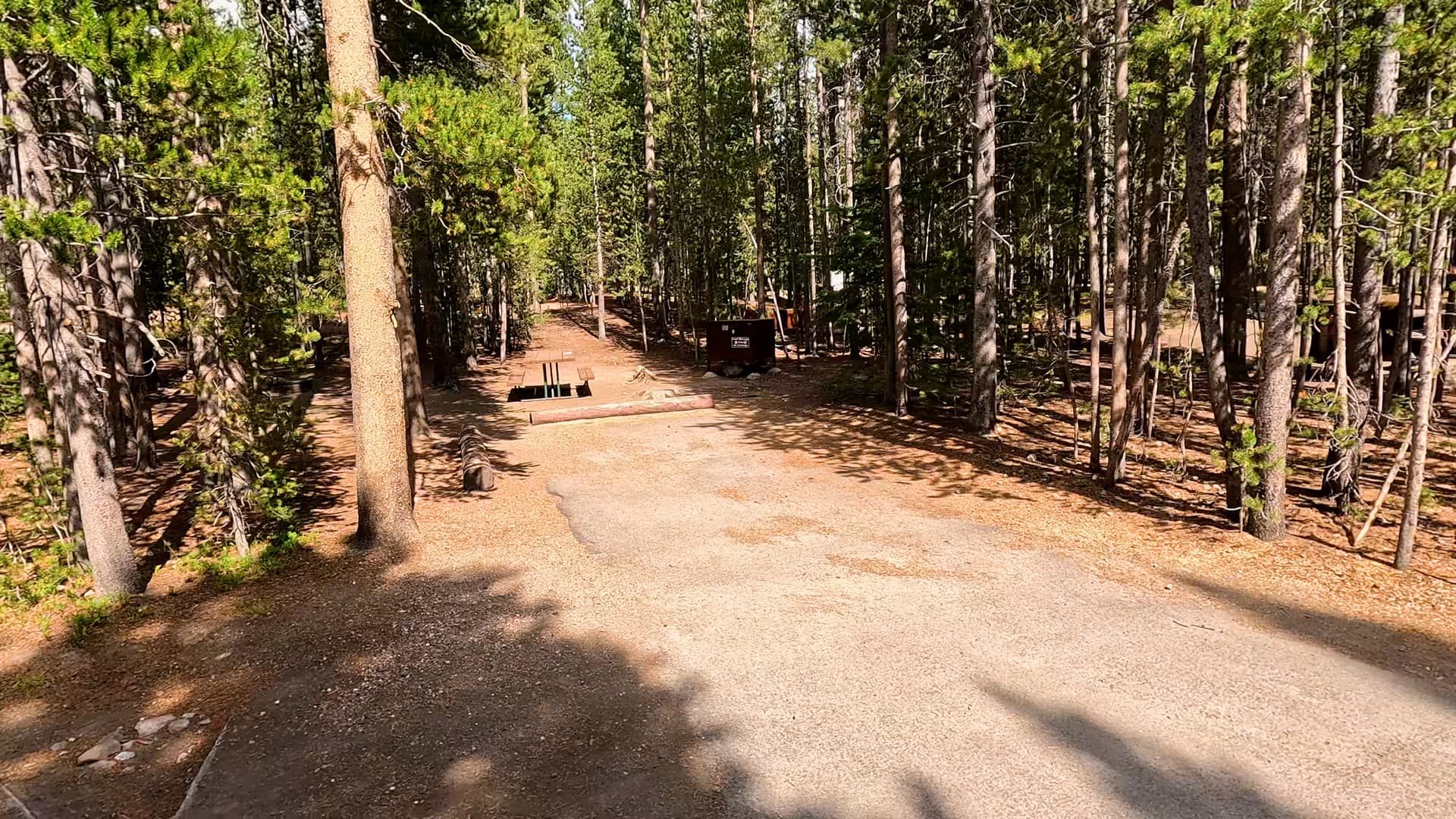 Site 193