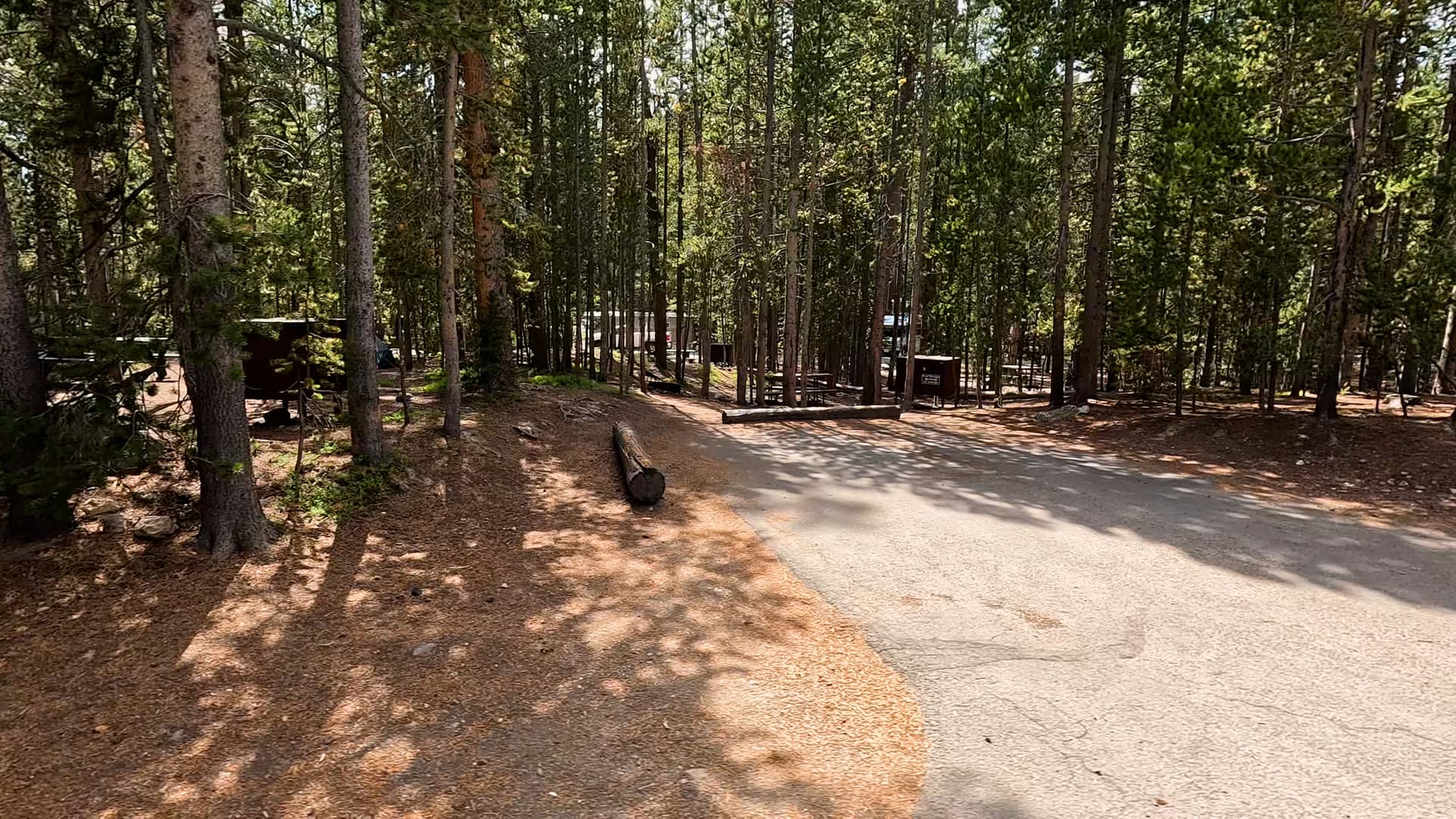 Site 216