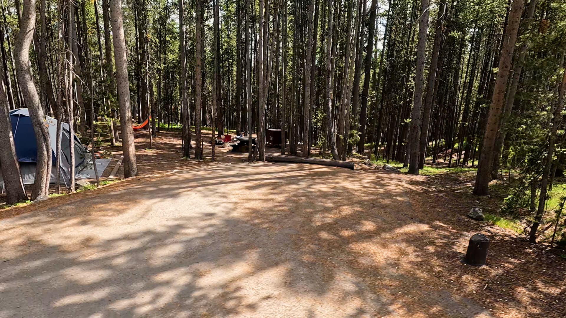 Site 231