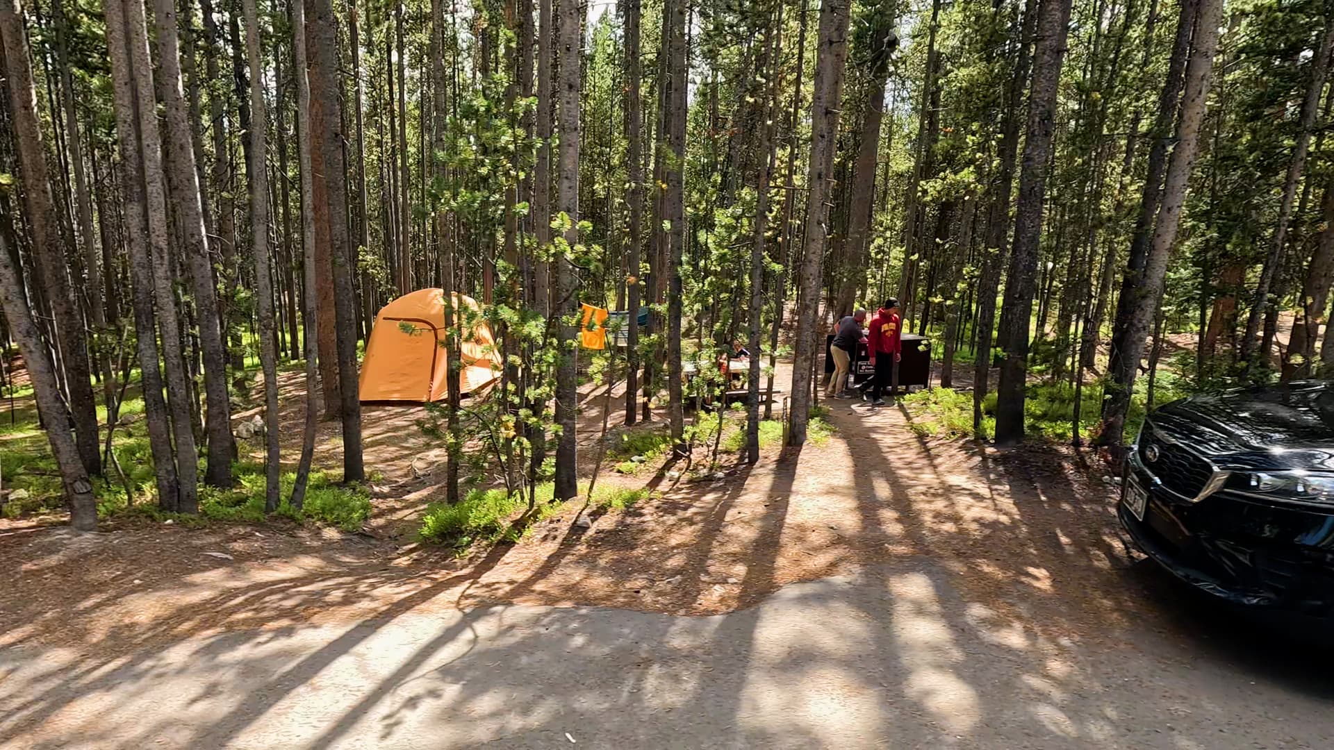Site 229