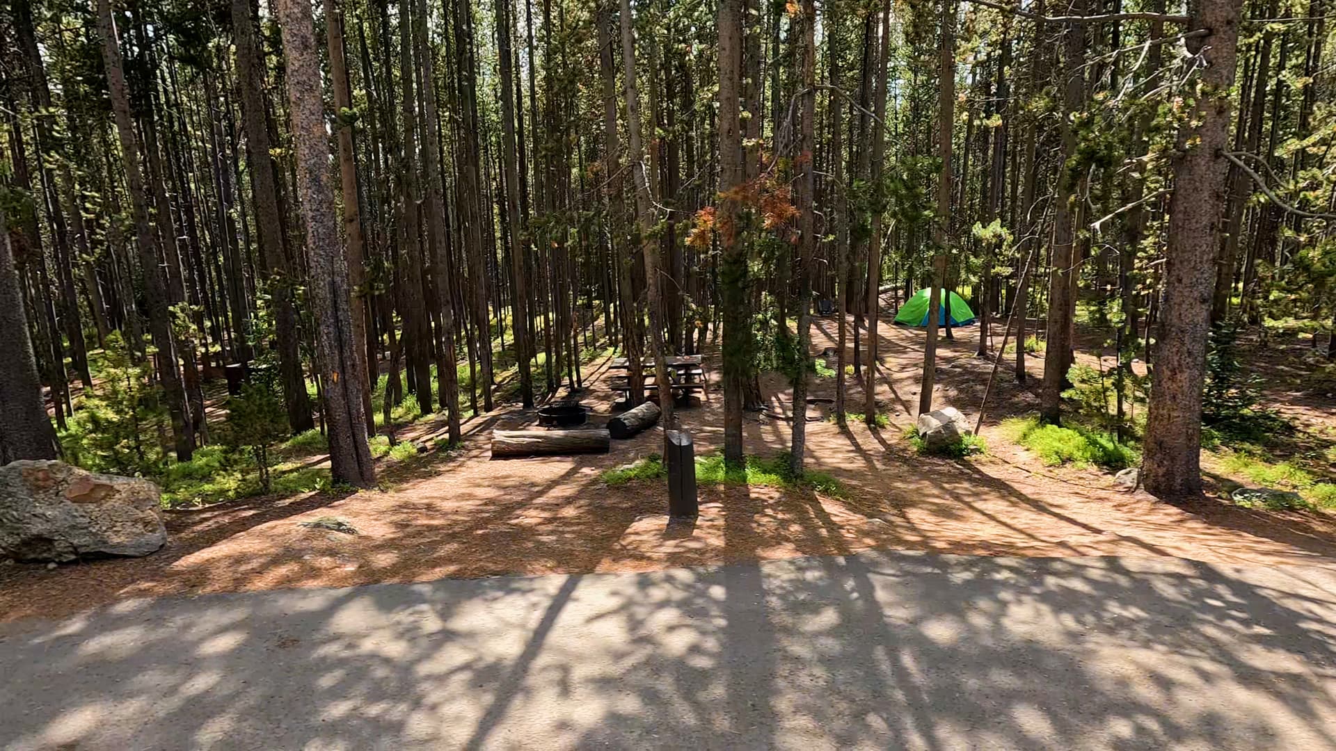 Site 202