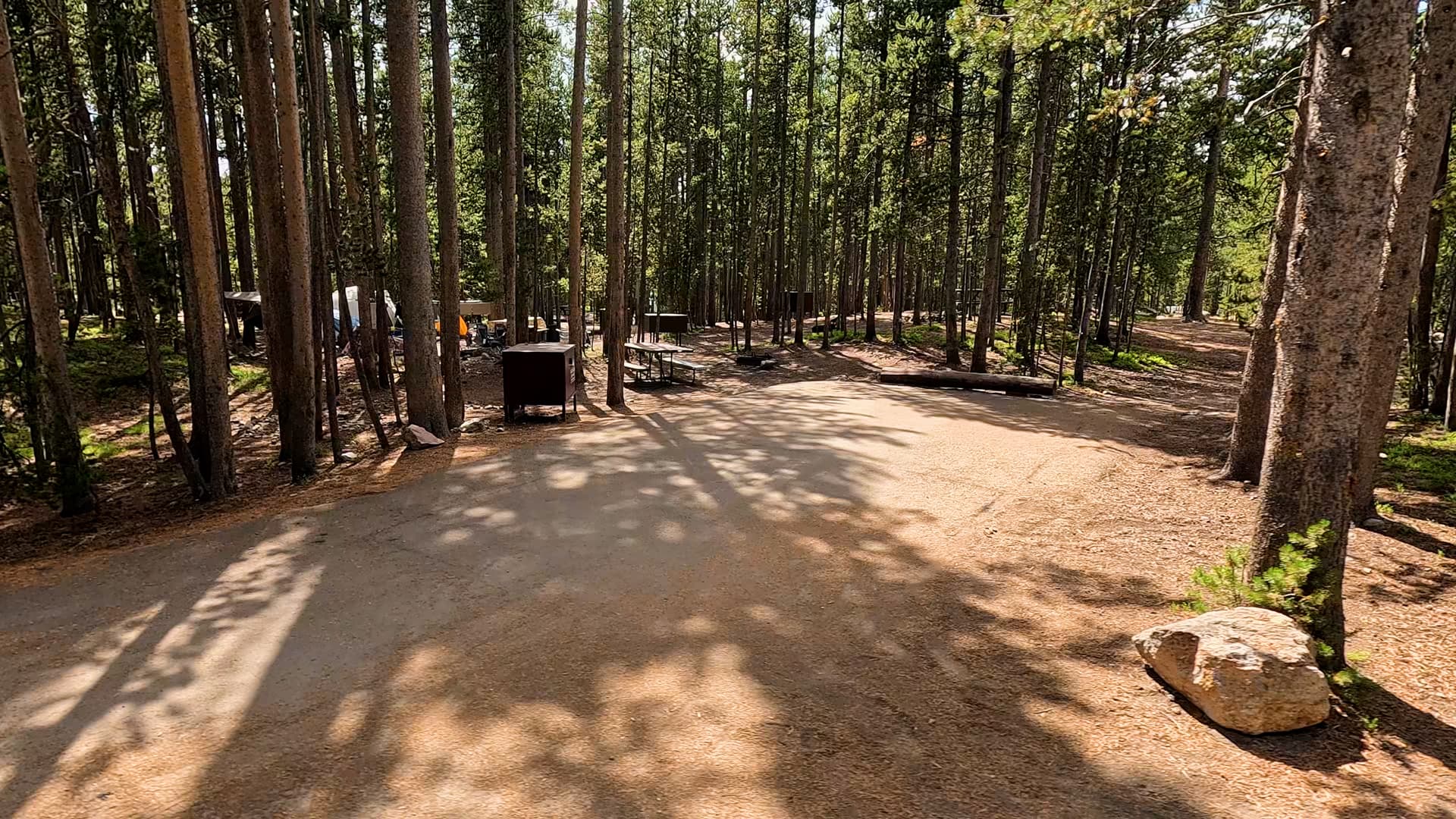 Site 224