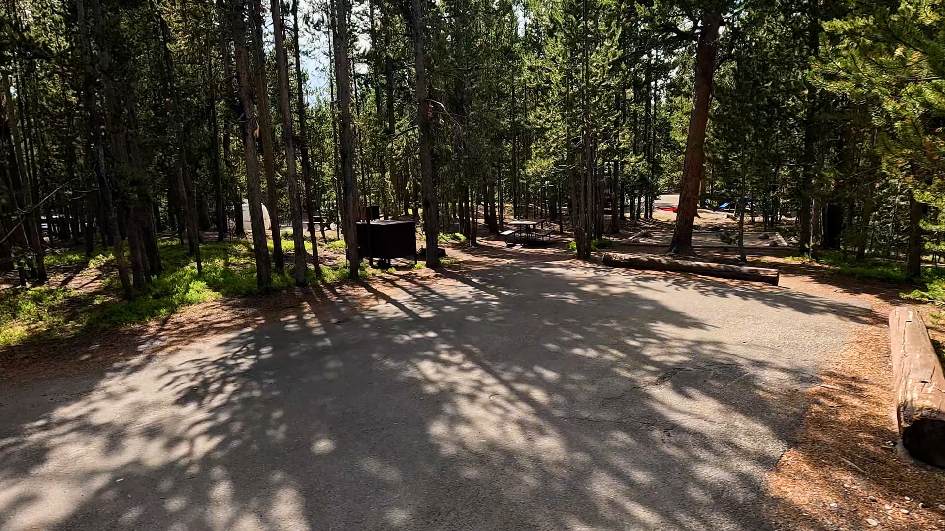Site 220