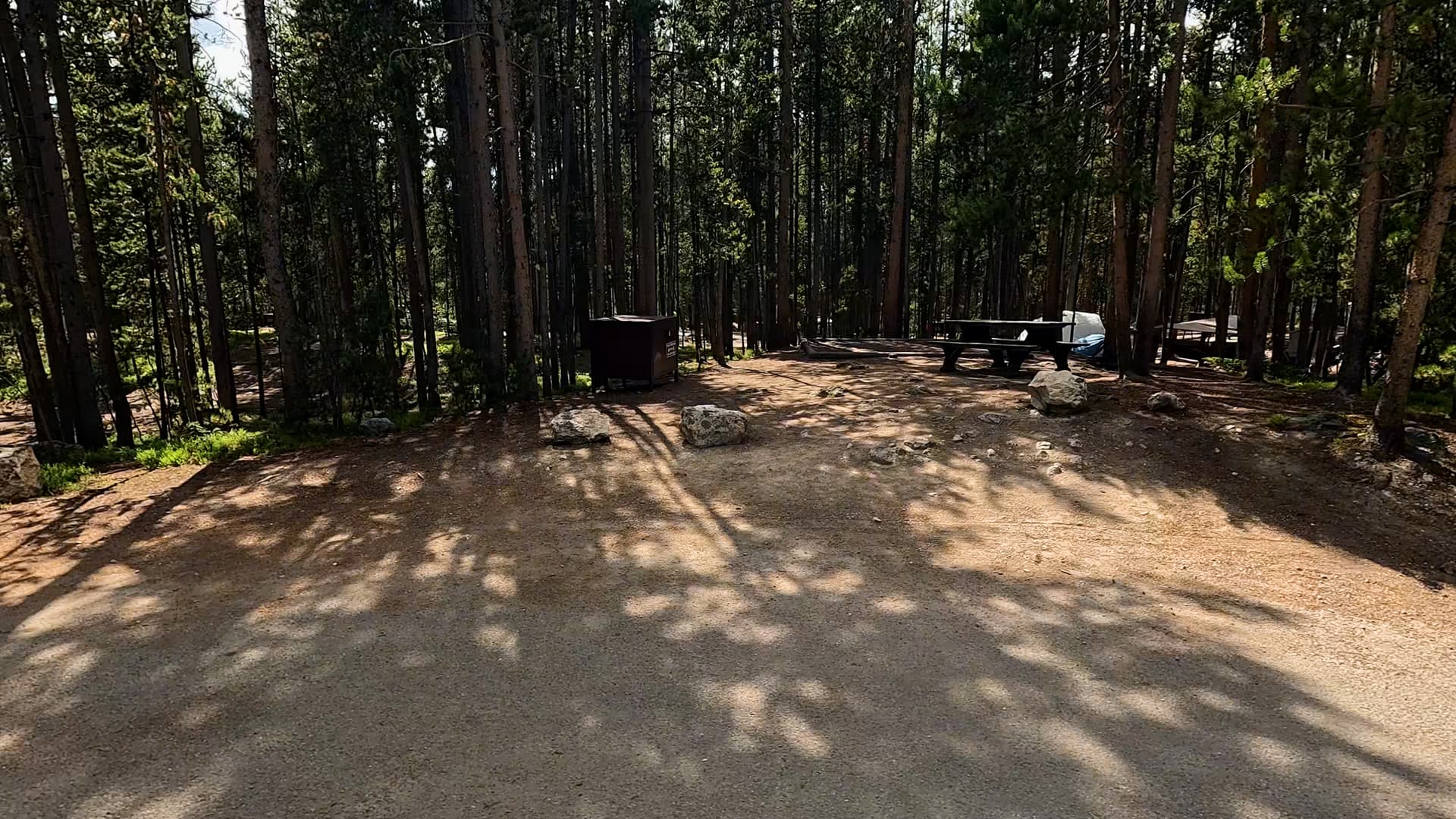 Site 226