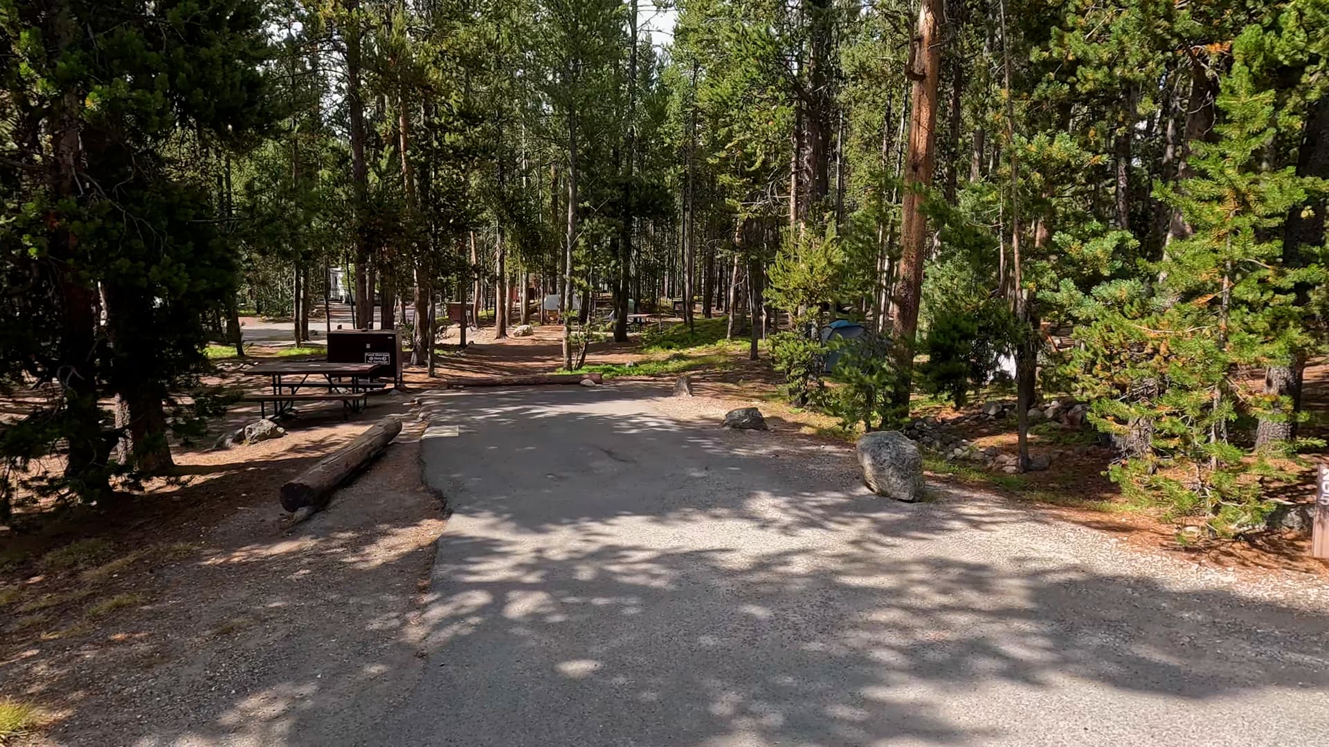 Site 205