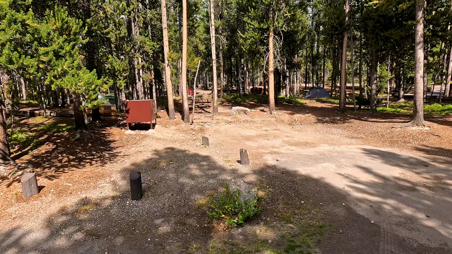 Site 201