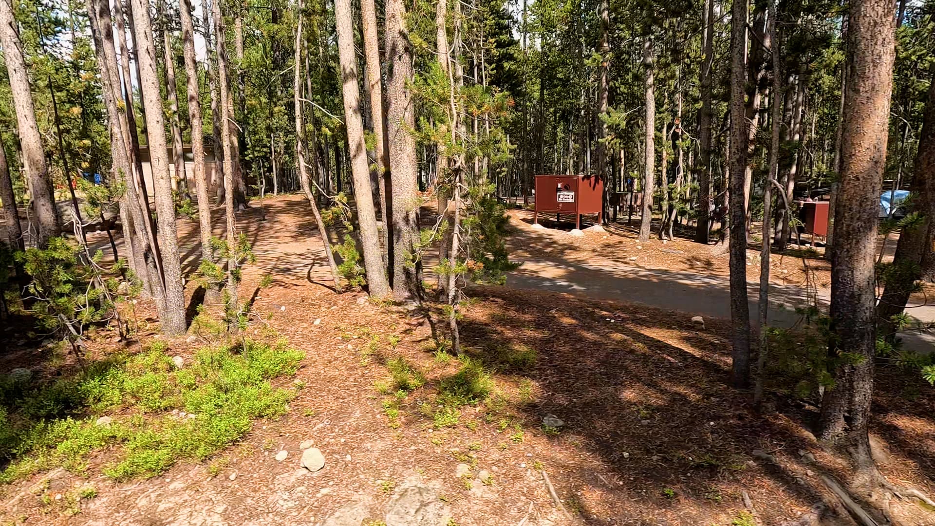 Site 212