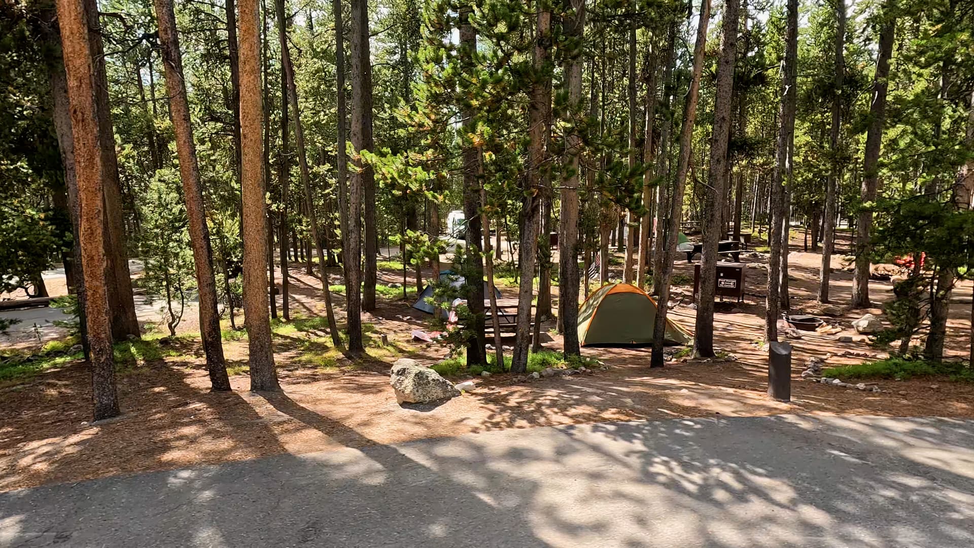 Site 207