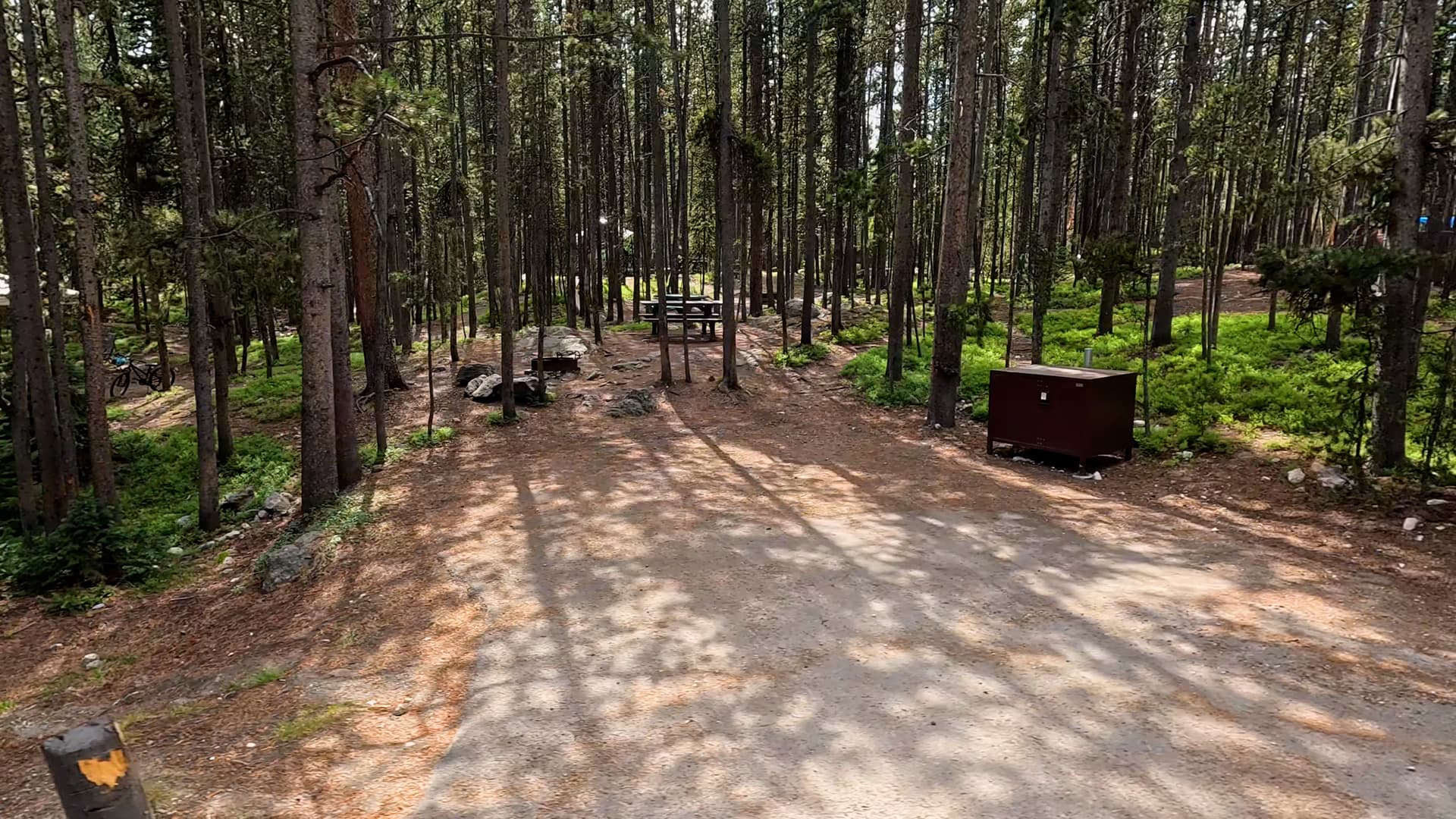 Site 241