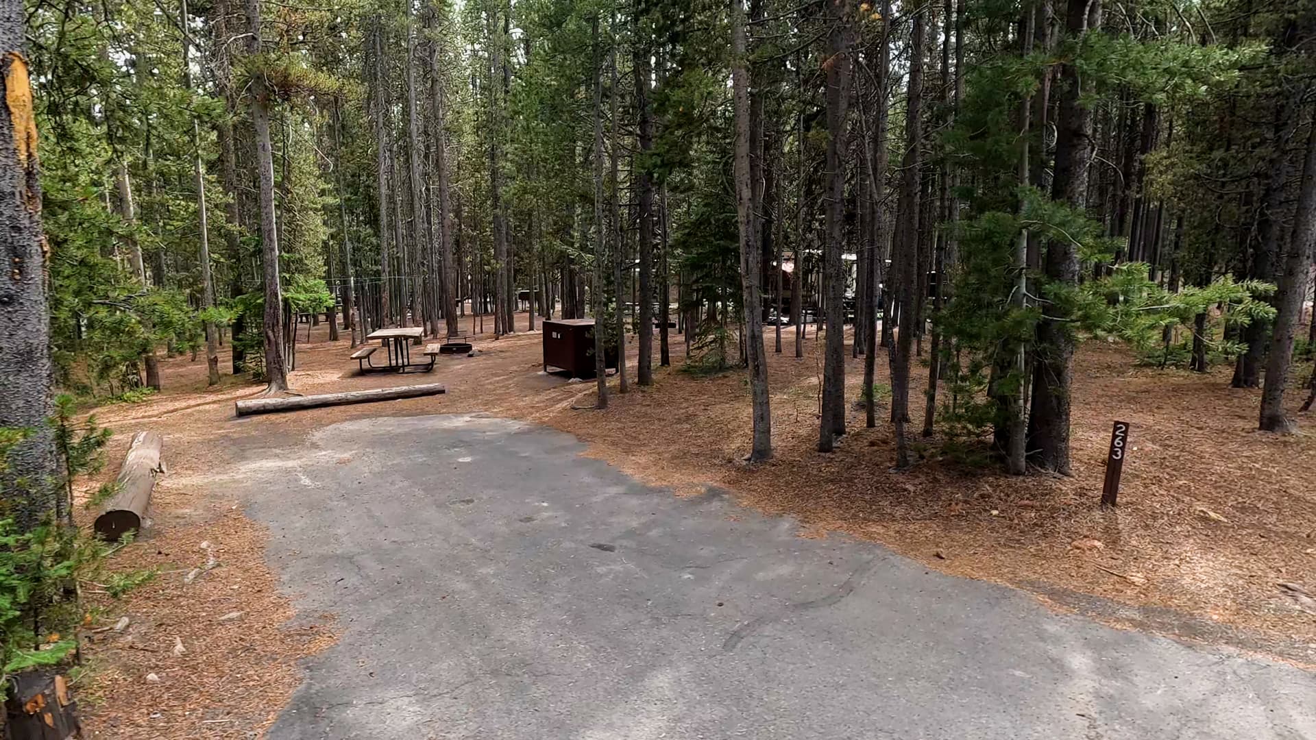 Site 263
