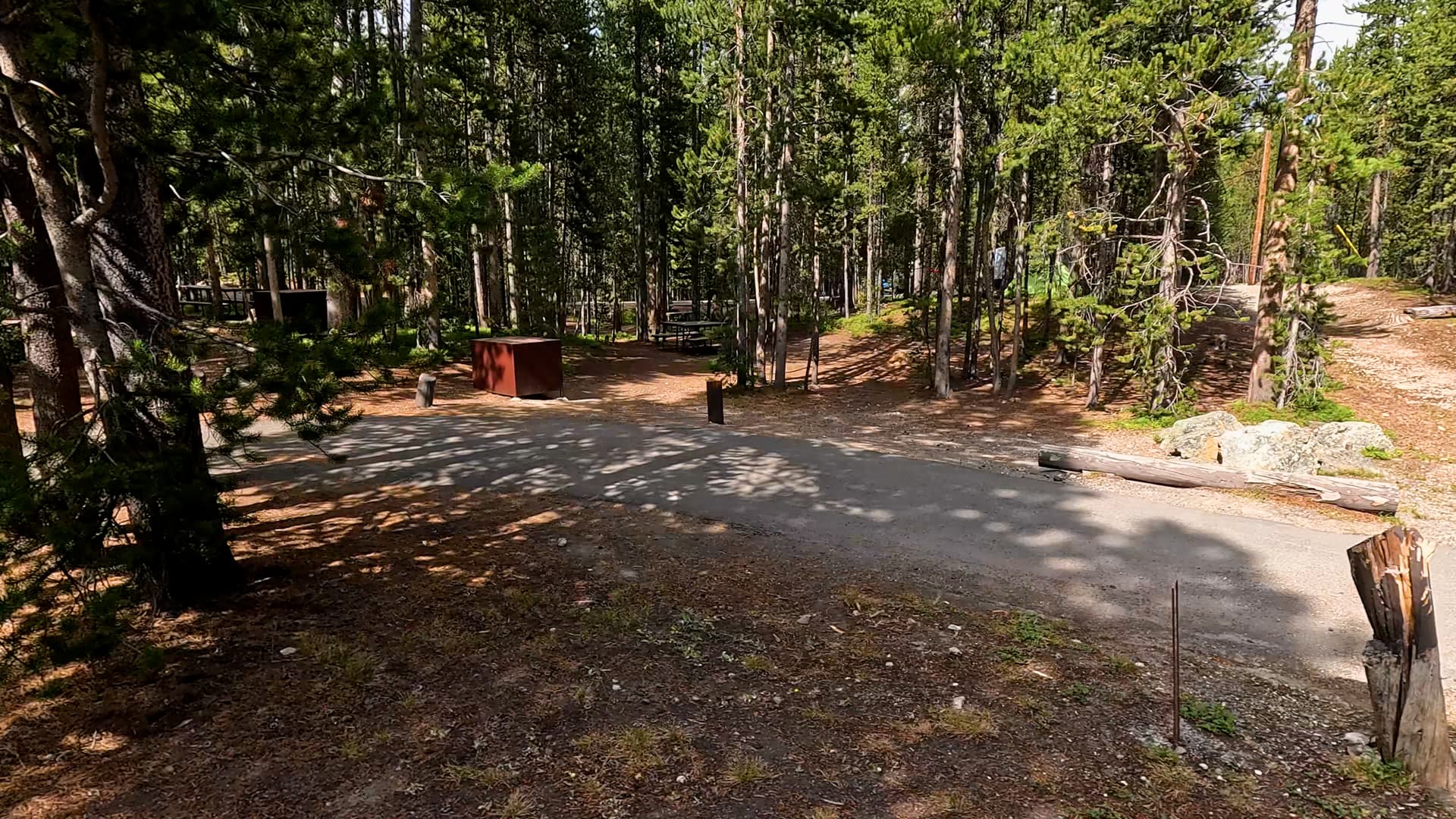 Site 245