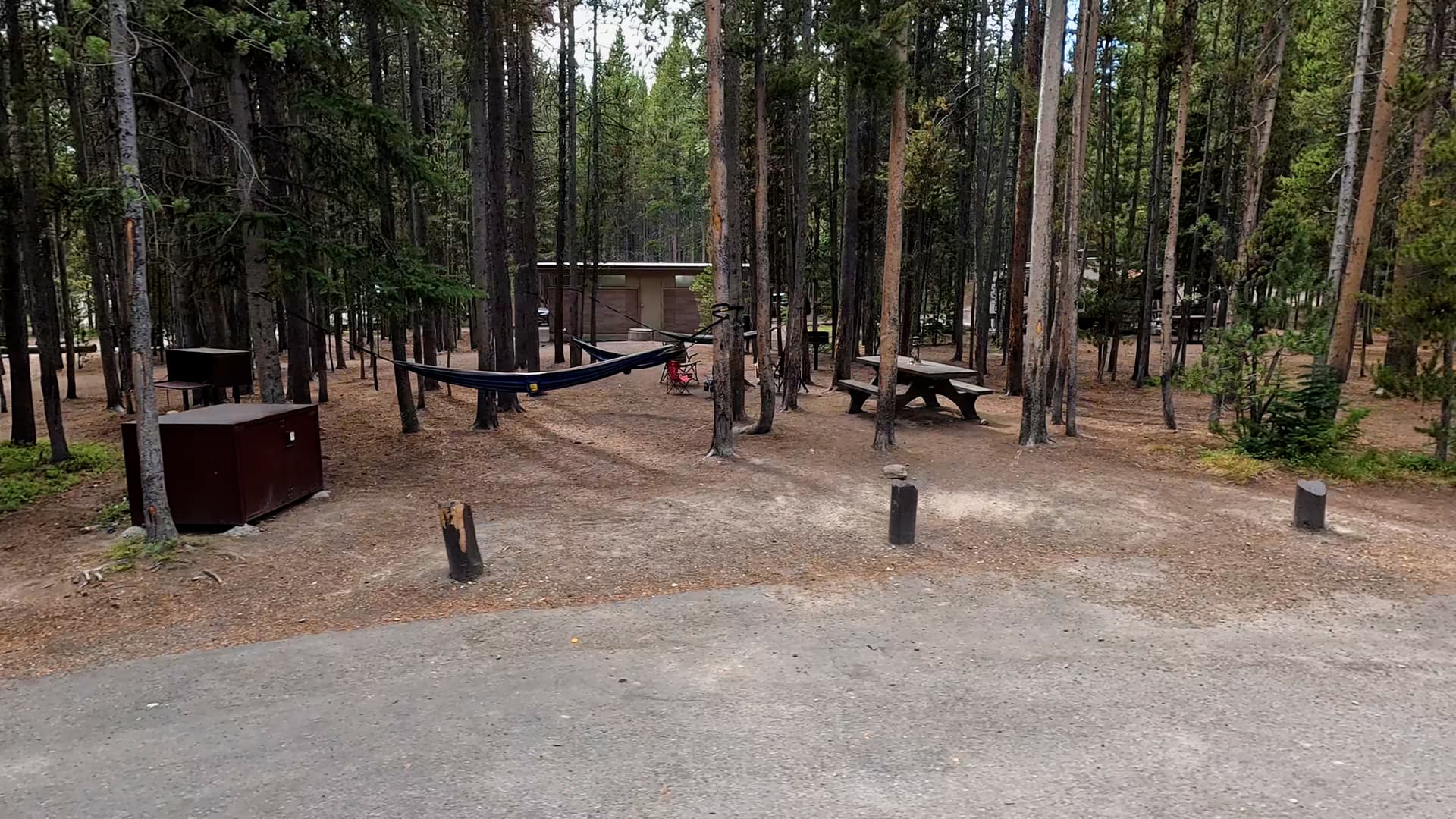 Site 259