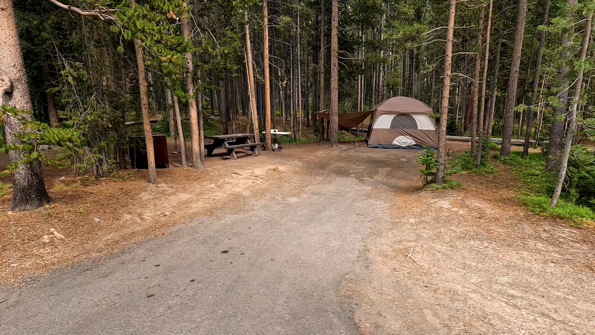Site 261