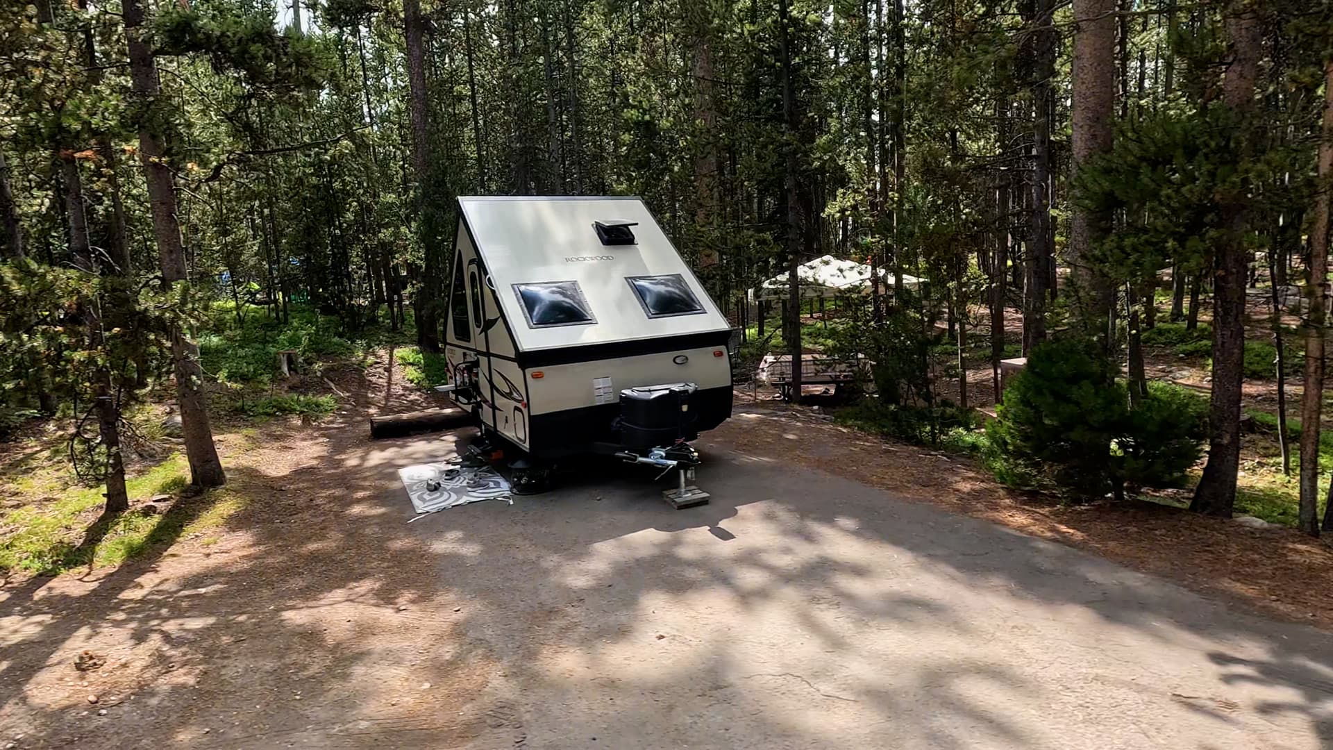Site 239