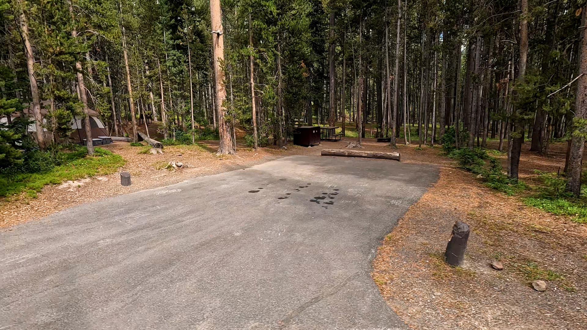 Site 260