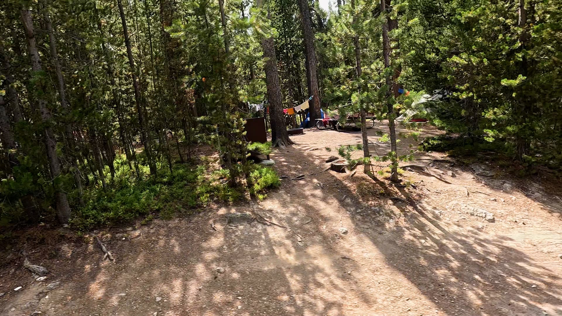 Site 237
