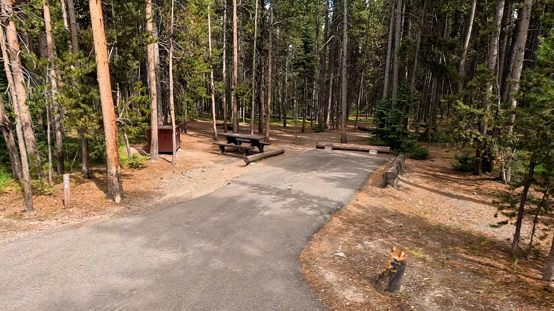 Site 256