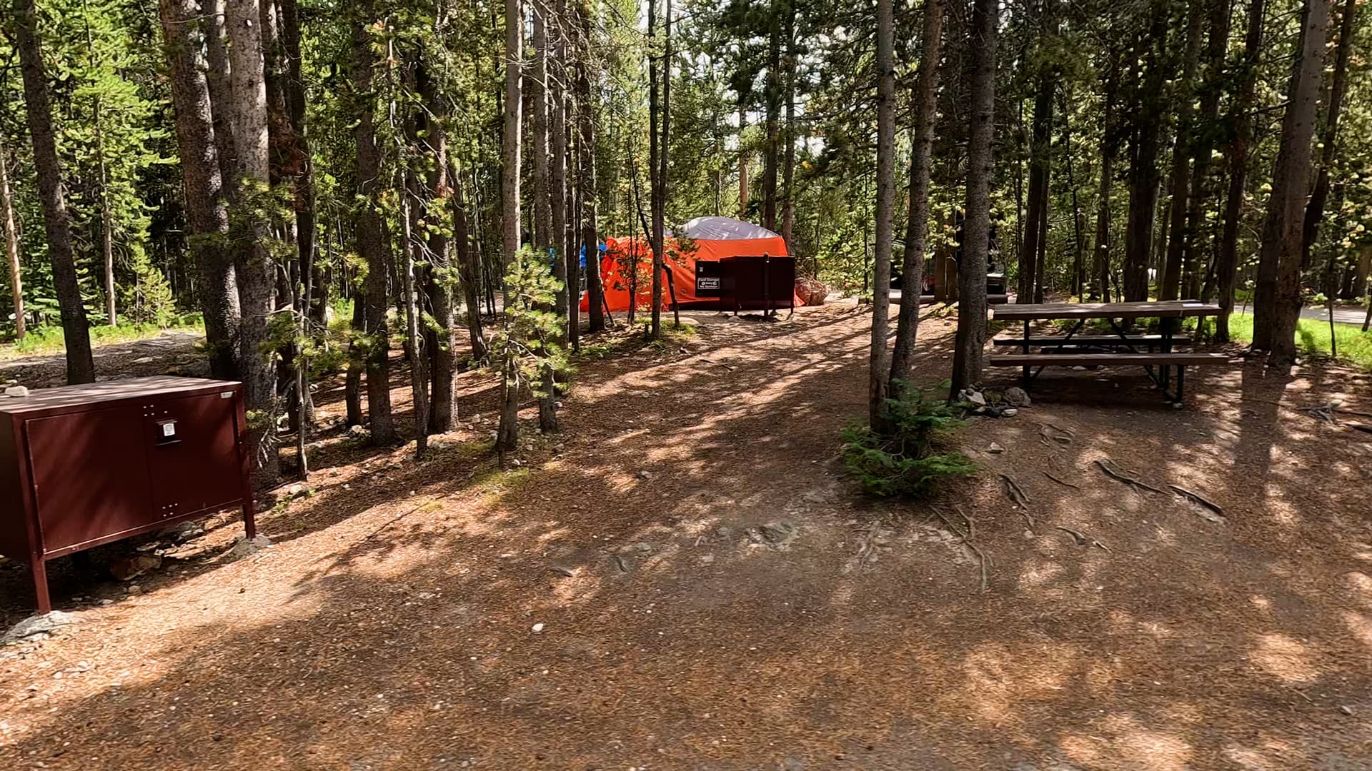 Site 246