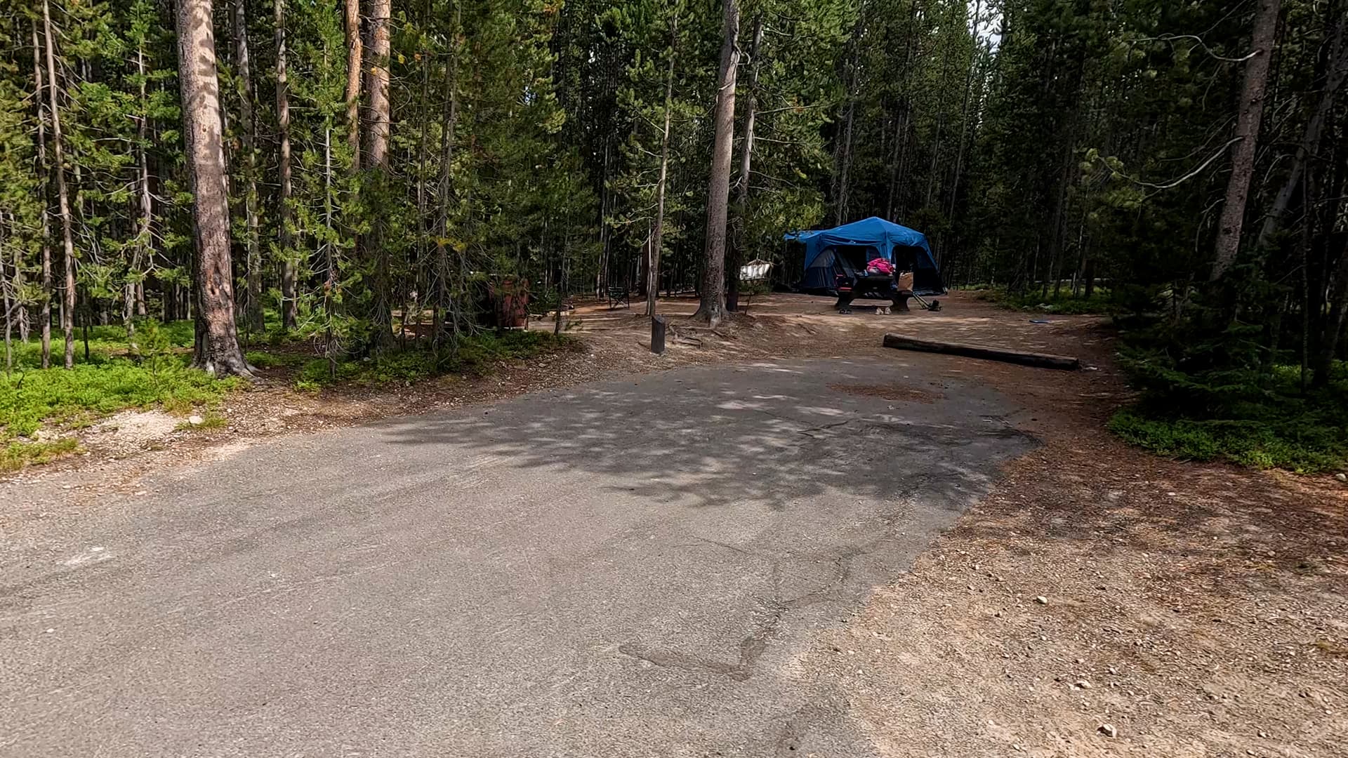 Site 251