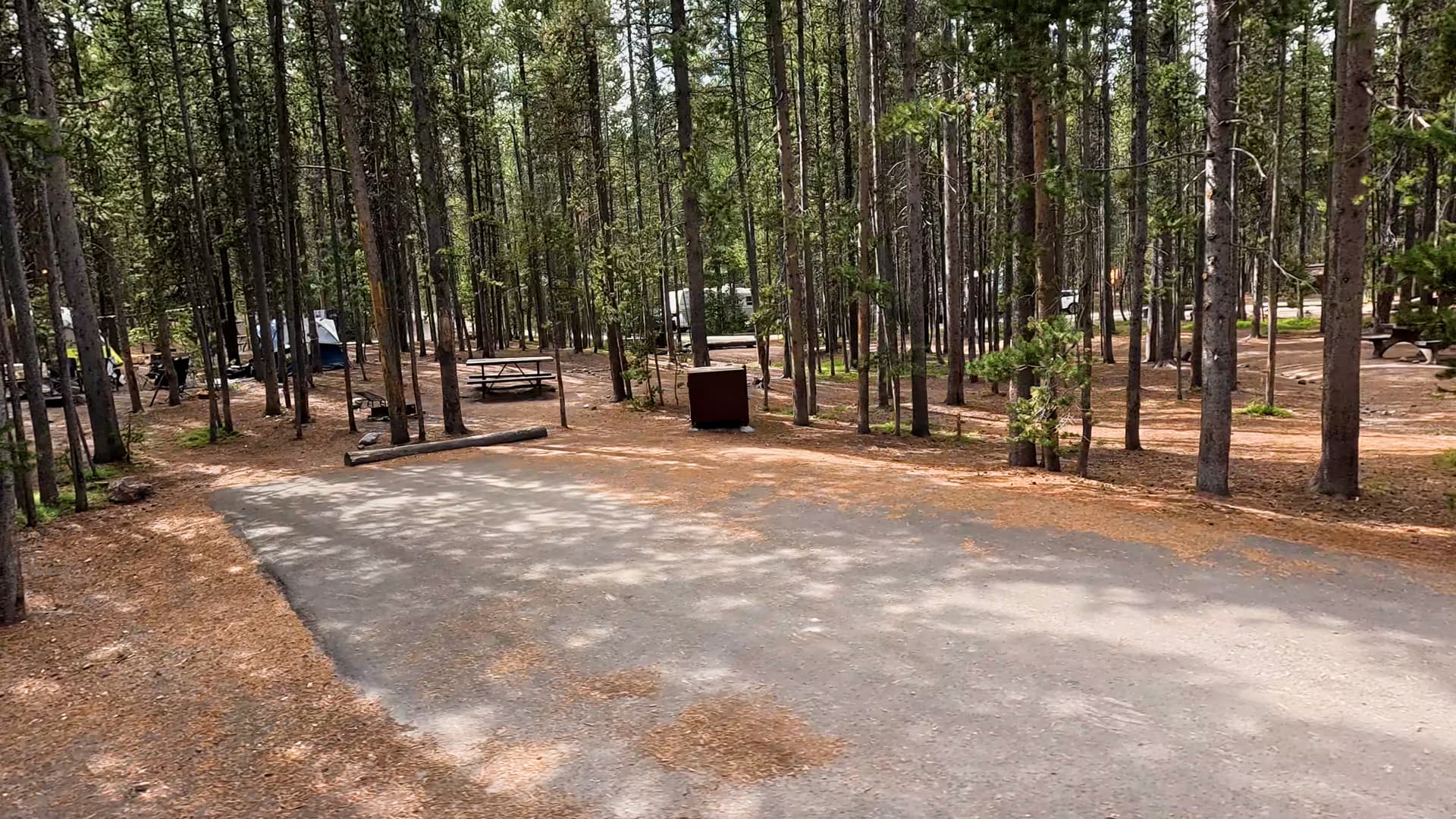 Site 254
