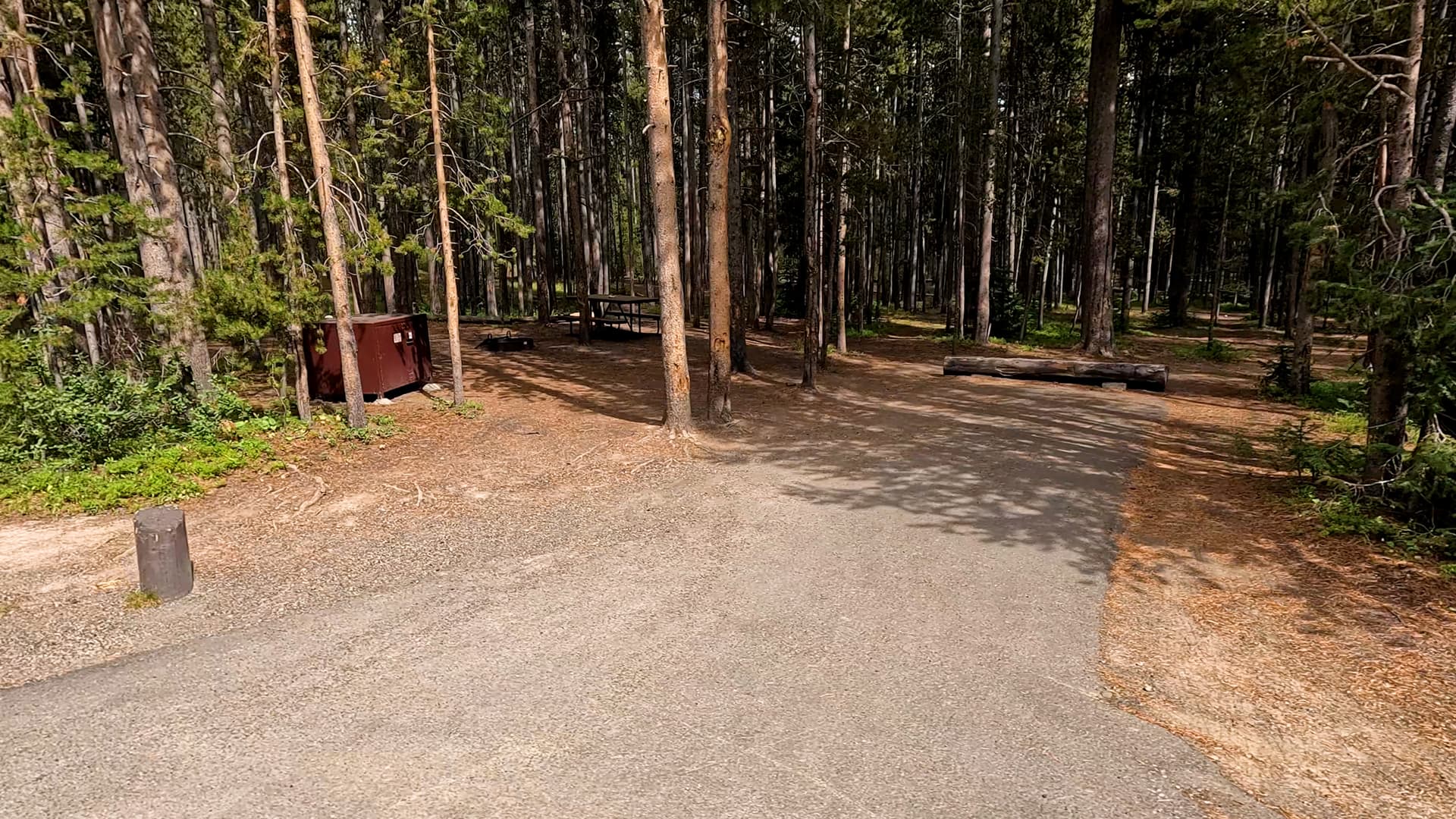 Site 258