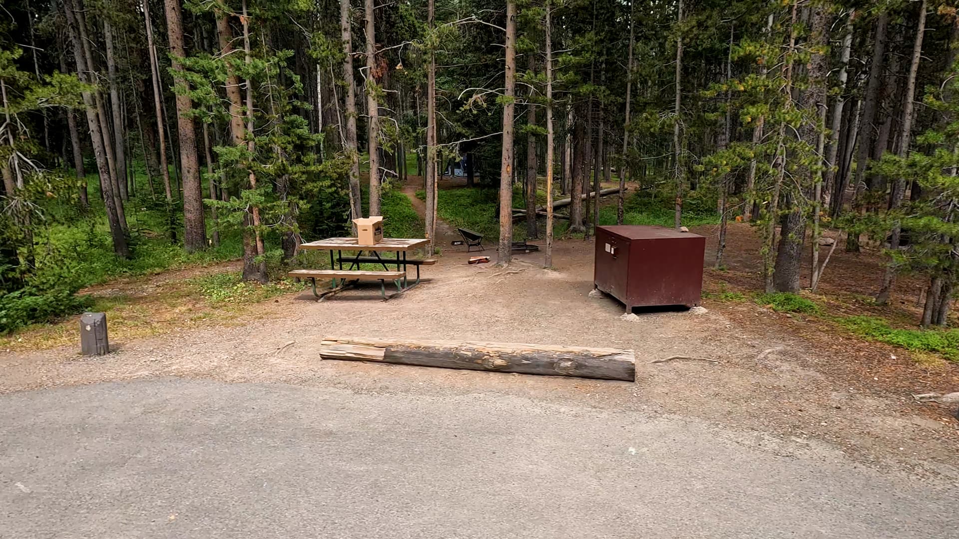 Site 262