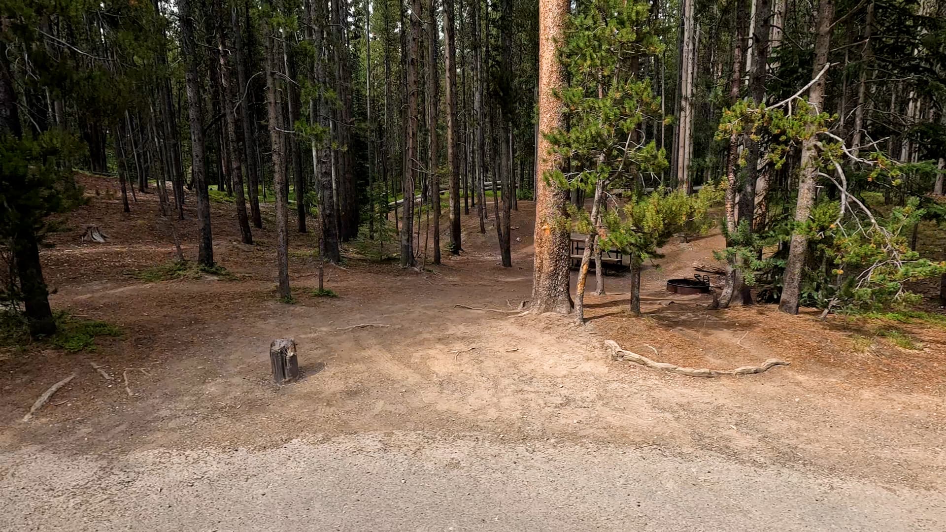 Site 264
