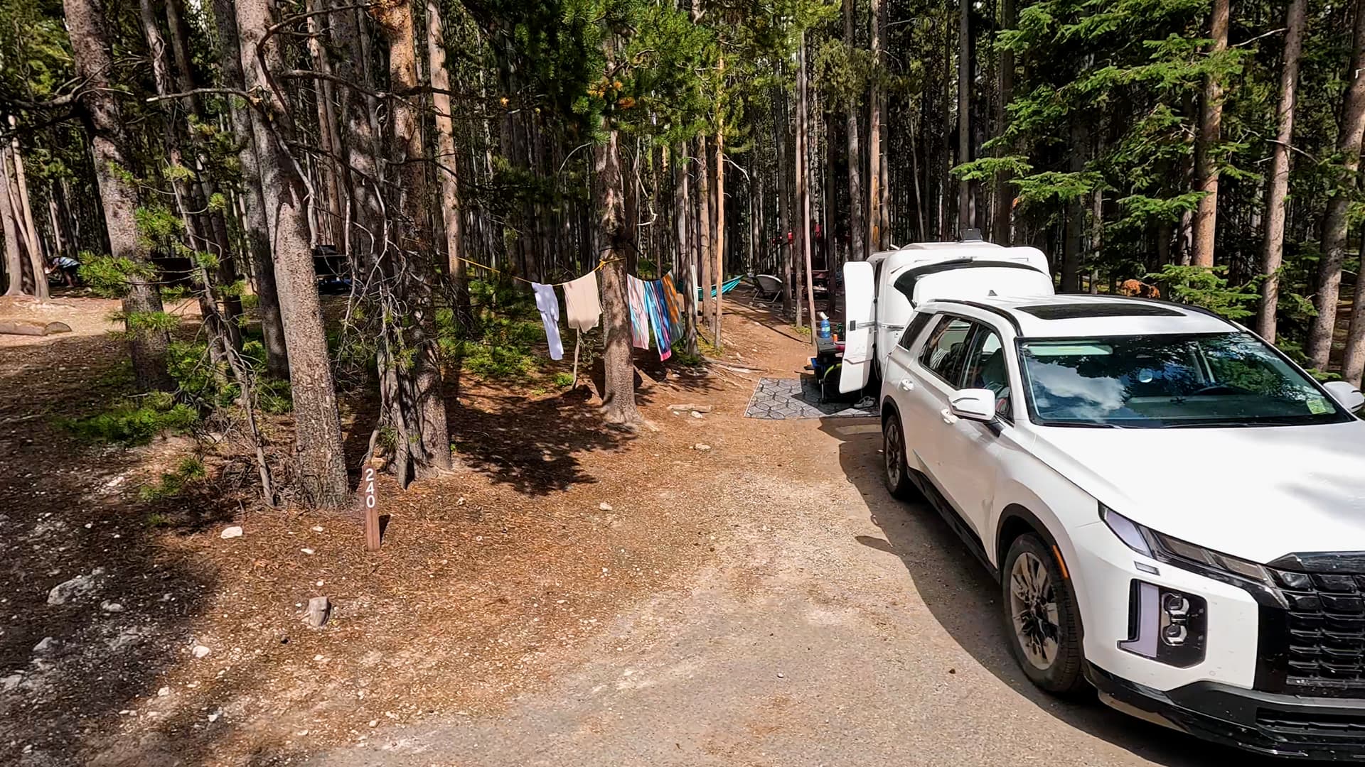 Site 240