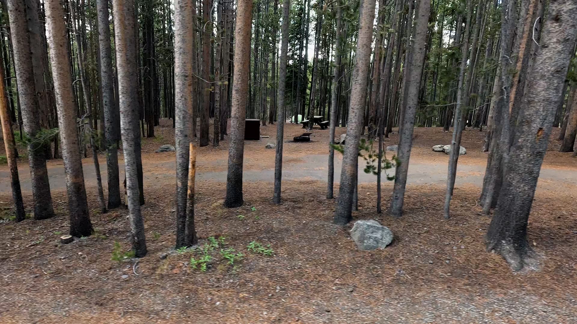 Site 285