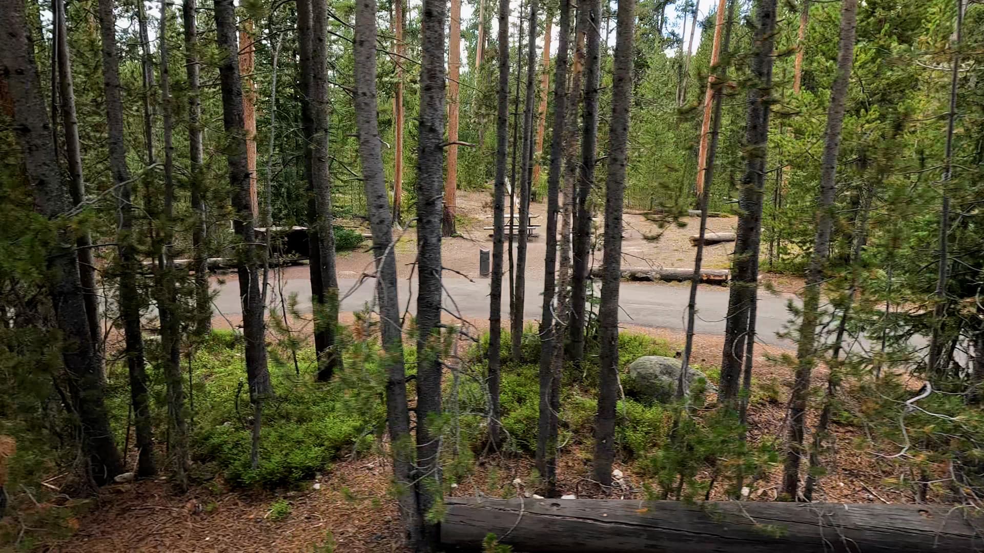 Site 275
