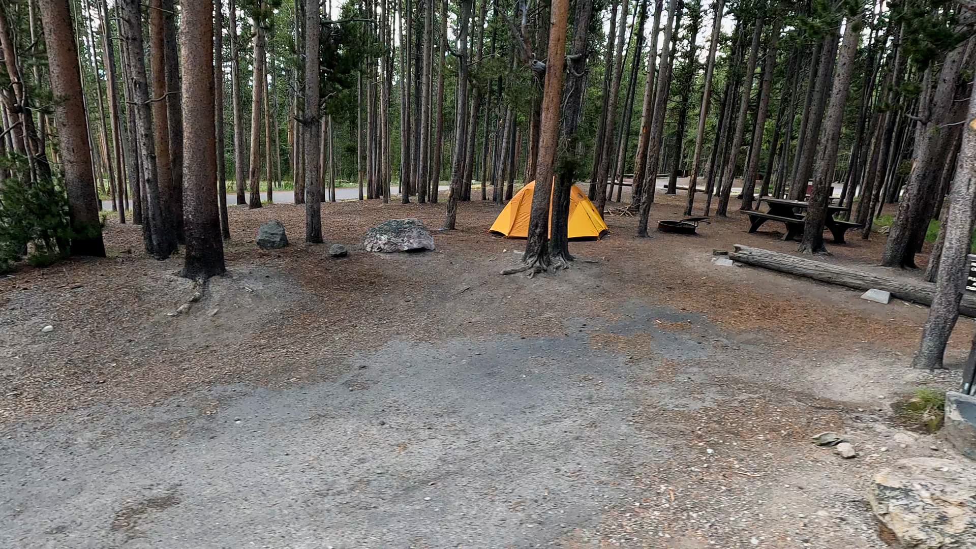 Site 287