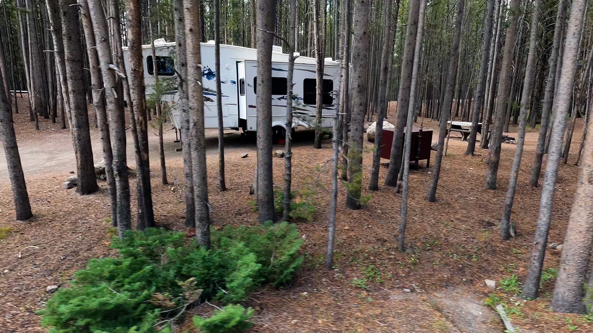 Site 277