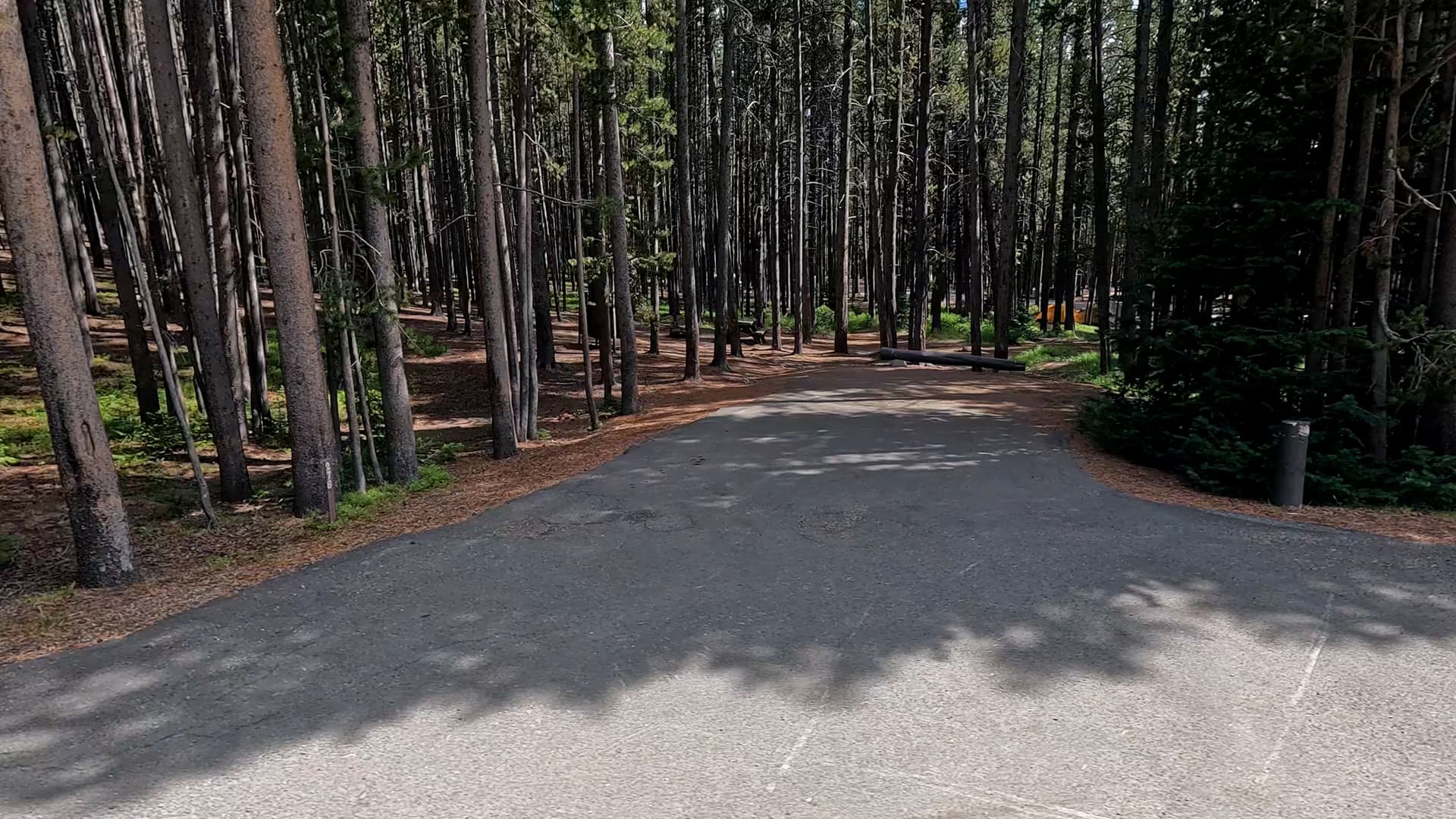 Site 278