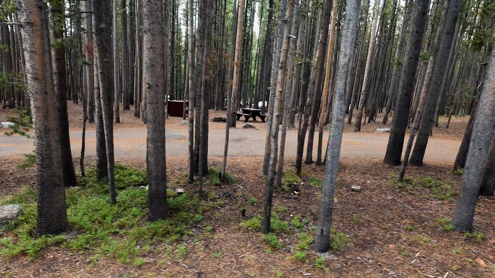 Site 283