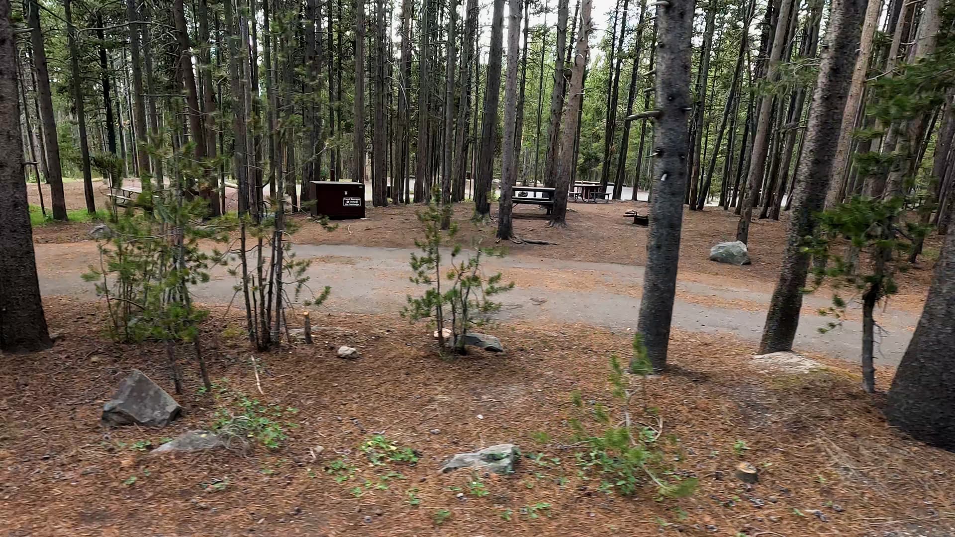 Site 286